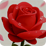 奇影视频最新版