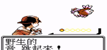 口袋妖怪银超全版本手游