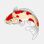 锦鲤影视完整版