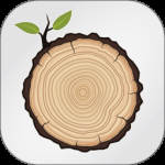 时光倒计时2024版