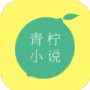 青柠小说