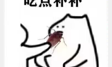 拿着拿着广东蟑螂梗的意思2