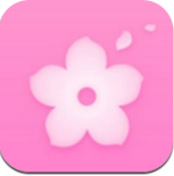 黄花直播高清版