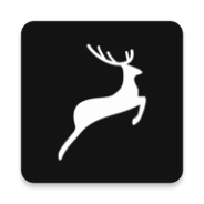 绿幕大师最新版