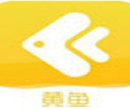 黄鱼视频免费观看版
