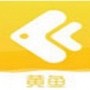 黄鱼视频免费观看版