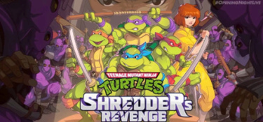 忍者神龟施莱德的复仇攻略大全