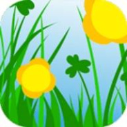 小草影视深夜版