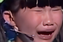 马东叔叔你别数了梗为什么这么火