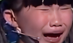 马东叔叔你别数了梗为什么这么火