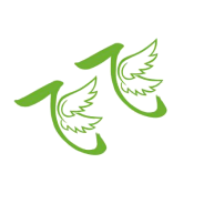 飞飞影视全屏版