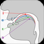 英语国际音标学习