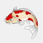 锦鲤影视精简版