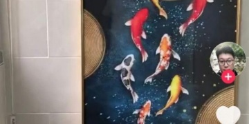 红包短视频所有版本APP