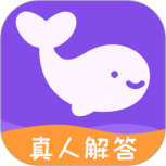准准纯净版