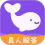 准准纯净版