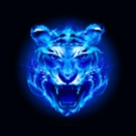 四虎影库精品版