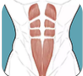 跟我练腹肌2024版