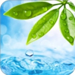 轻轻一点最后版本