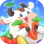 我在兄弟会的时光