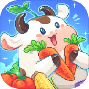 我在兄弟会的时光