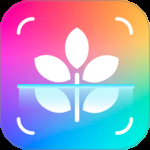 智能识别大师最新版