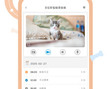 宠物多的国产武侠手游