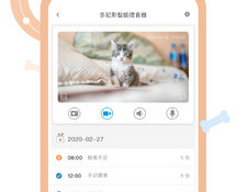 宠物多的国产武侠手游
