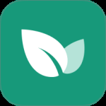 青藤之恋清爽版