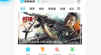 熊猫视频全版本APP
