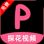 探花视频完整版