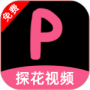 探花视频完整版