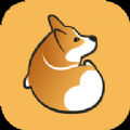 corgi极速版