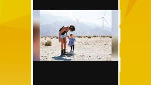 香草视频最新版APP