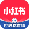小红书