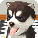 我的萌宠世界(玩法丰富)