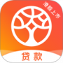 榕树贷款