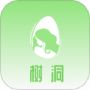 情绪树洞