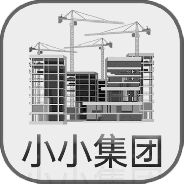 小小集团