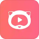 麻花视频播放器