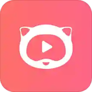 麻花视频播放器