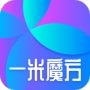 叶子视频绿色版