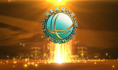 《网上国网》查看峰谷电方法0