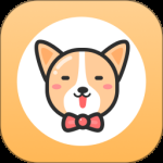 铲屎官助手2024版