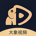 大象传媒v入口