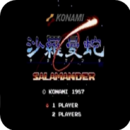 沙罗曼蛇2hack版