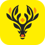 小鹿电竞免费聊天版