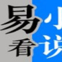 易看小说
