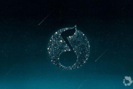 《QQ音乐》黑白模式设置方法