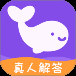 准准红包版